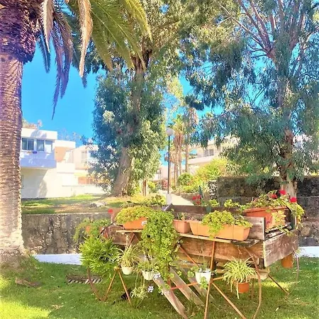 شقة Sunrise Studio, Garden View & Wifi Free طوستا ديل سيلونثيو